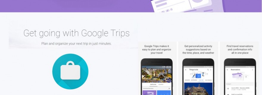 google-flight-review-cover