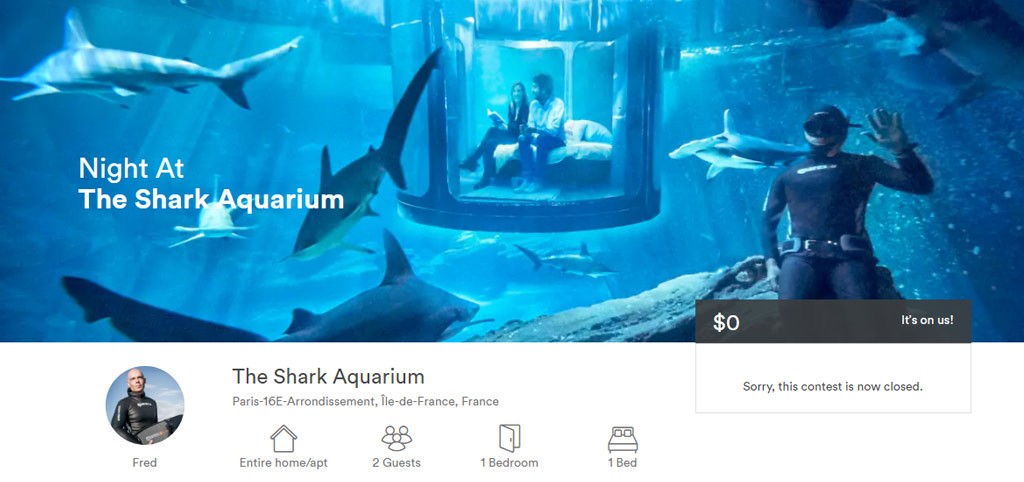 airbnb_shark-aquarium