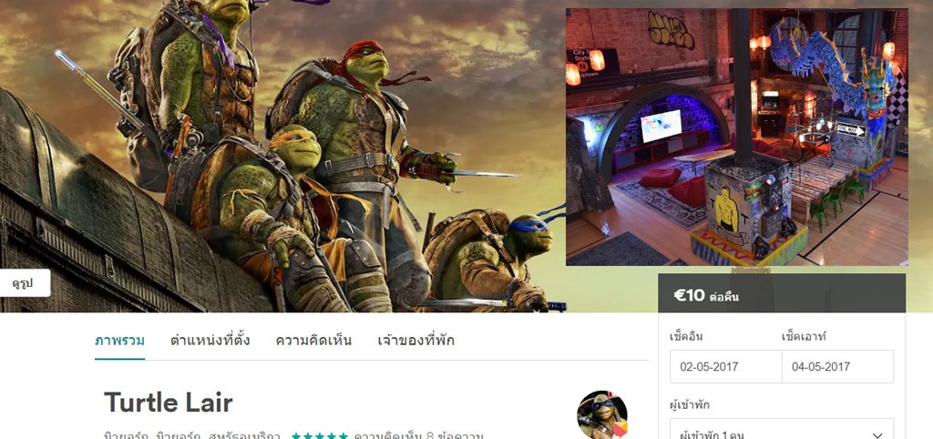 airbnb_teenage-turtle